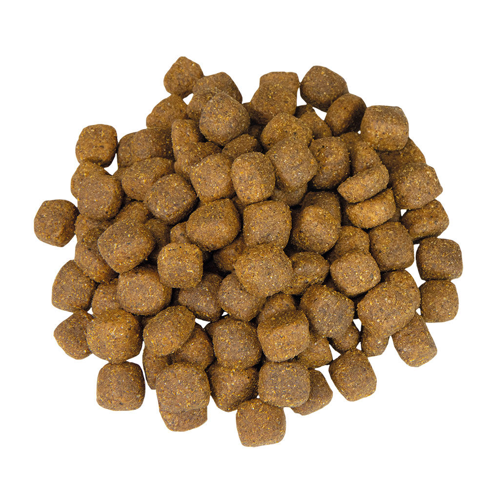 Schecker Veggie-Dry - vegetarisch hondenvoer        Afbeelding 2