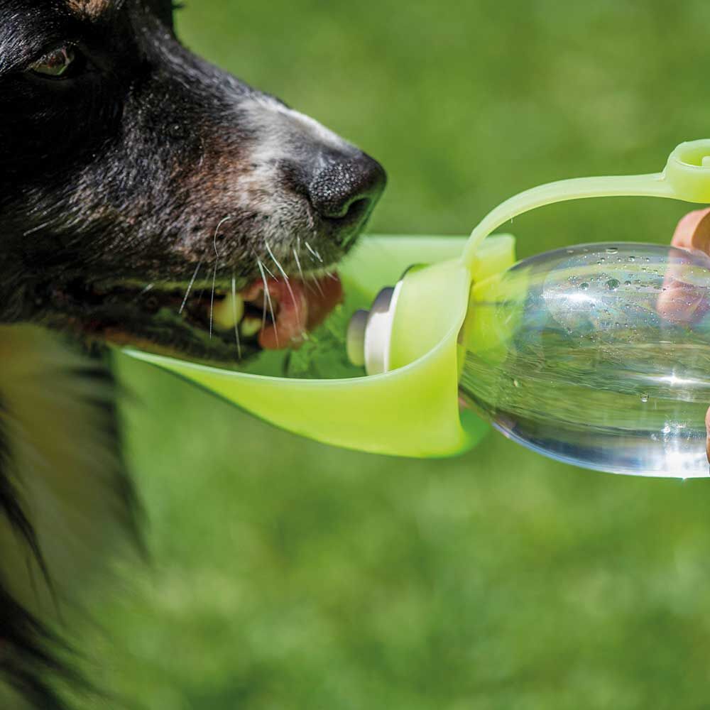 Honden-drinkfles met silicone-drinkblad Afbeelding 5