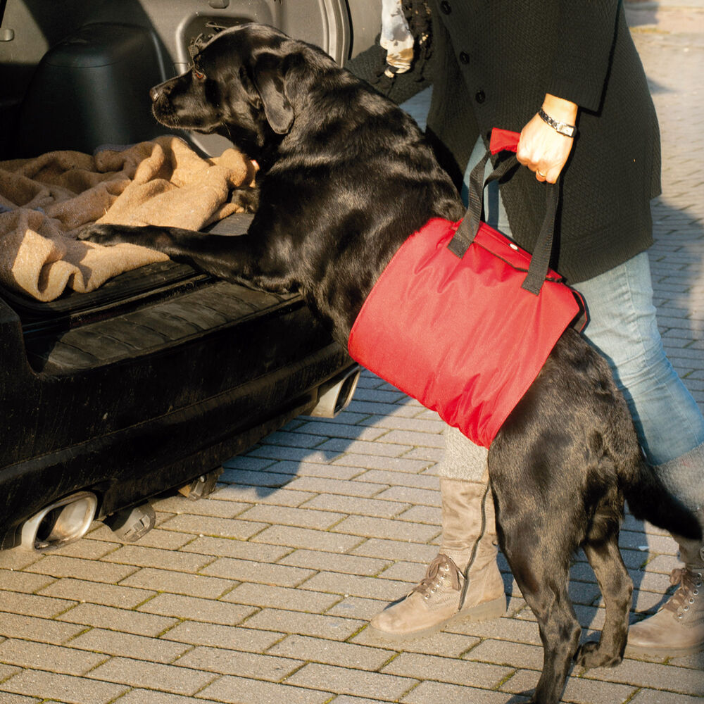 Honden-draaghulp 'Helping Harness' Afbeelding 3