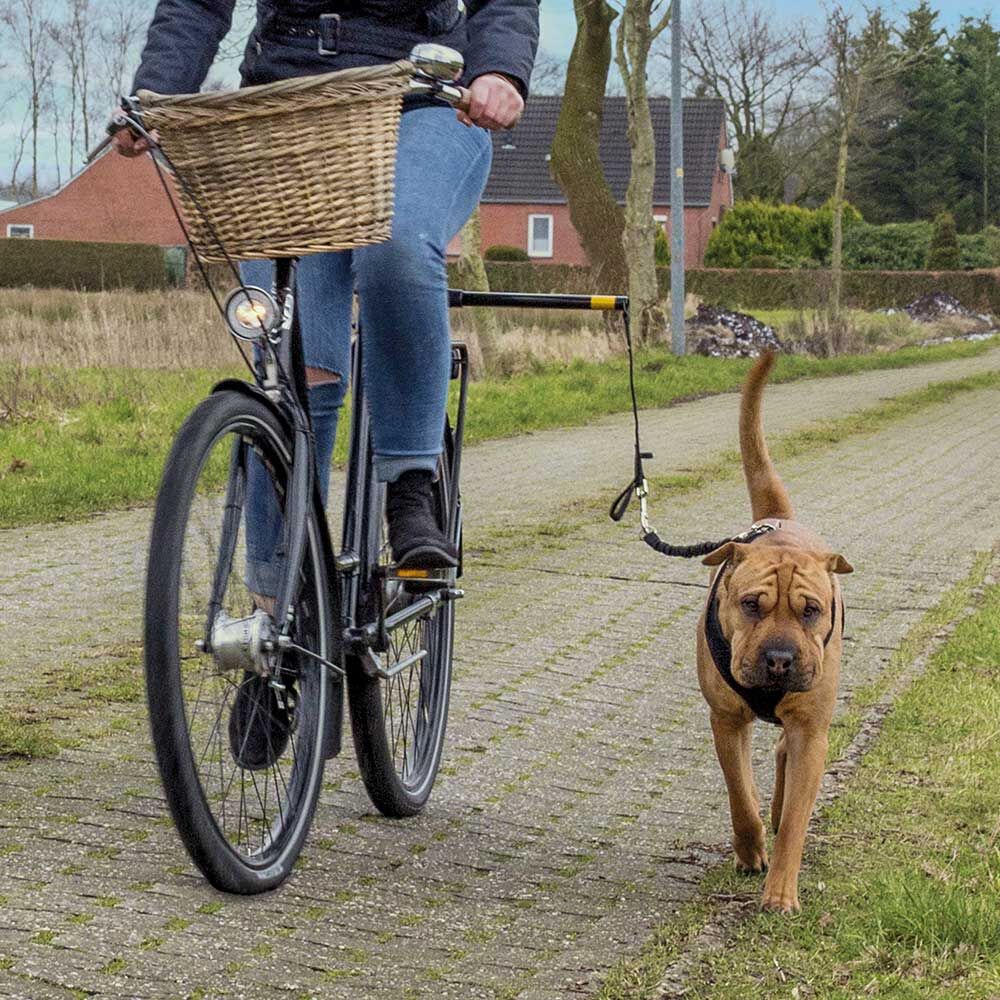 Honden fietshouder Doggy Biker-set Afbeelding 4