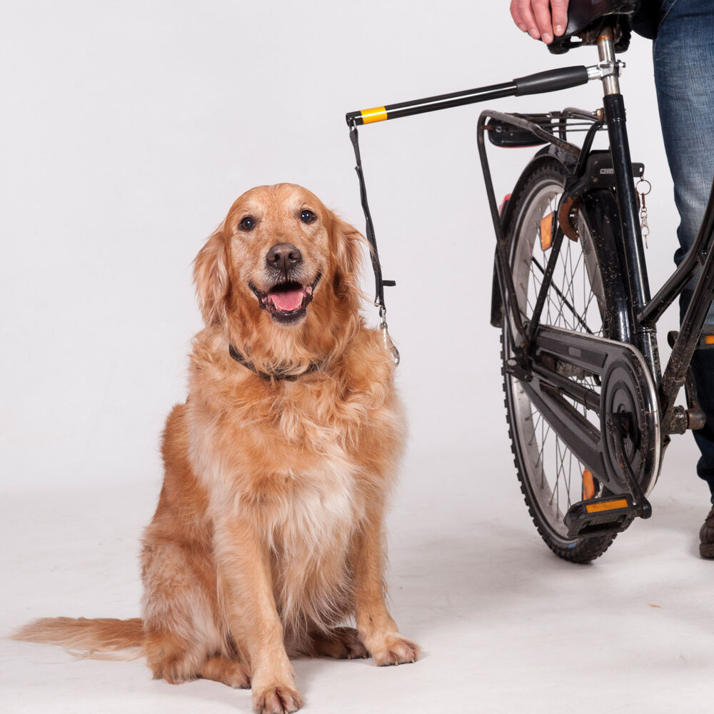 Honden fietshouder Doggy Biker-set Afbeelding 5