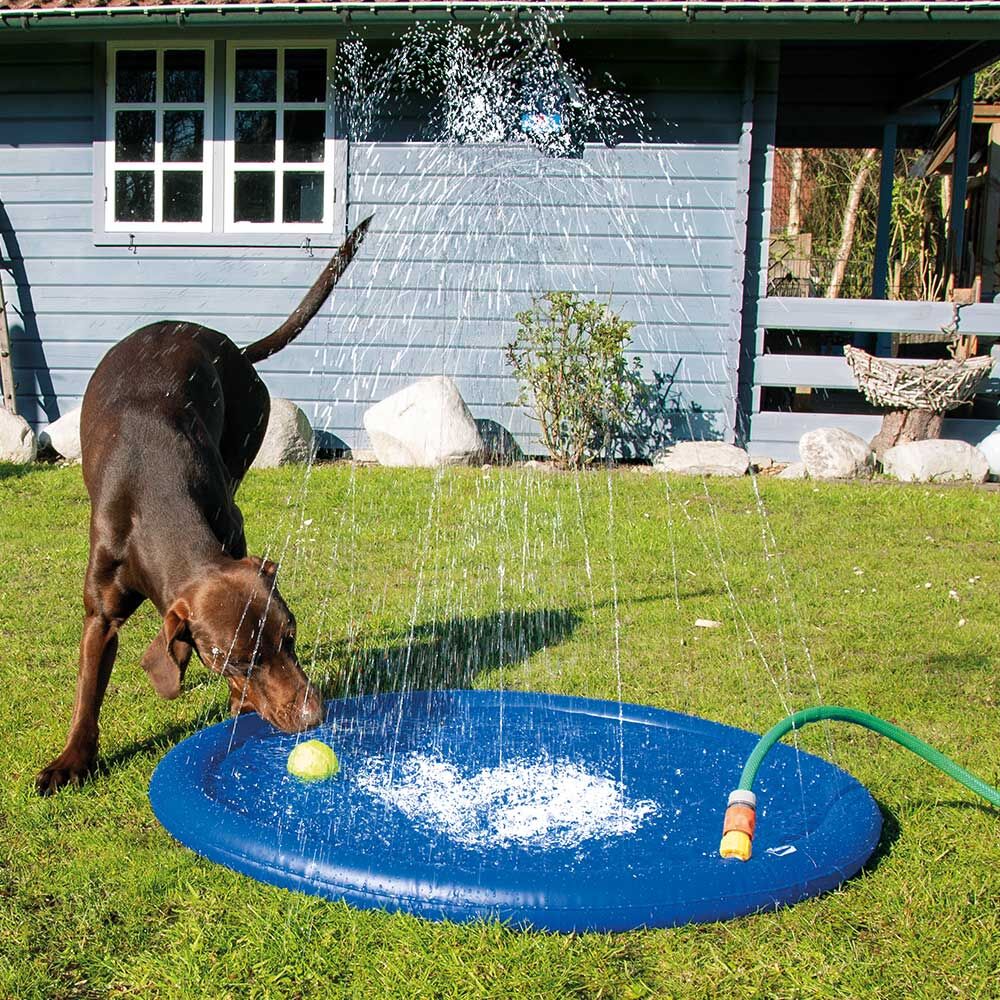 Honden-waterspeelmat Splashy Mat Afbeelding 2