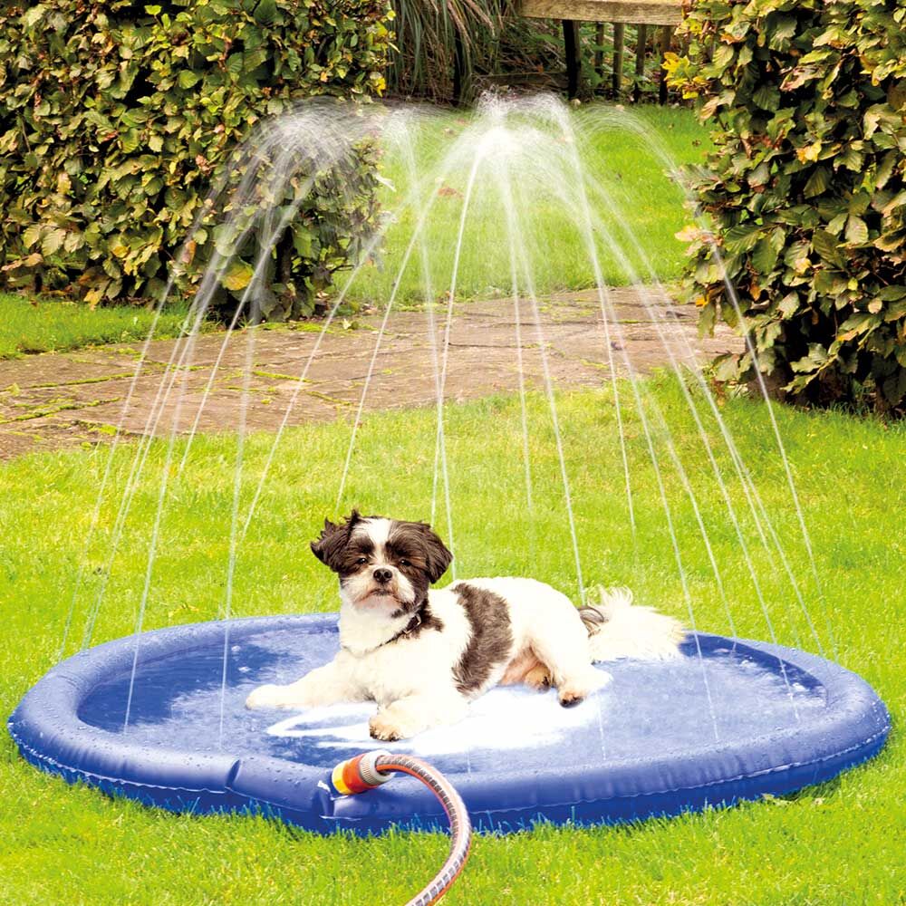 Honden-waterspeelmat Splashy Mat Afbeelding 3