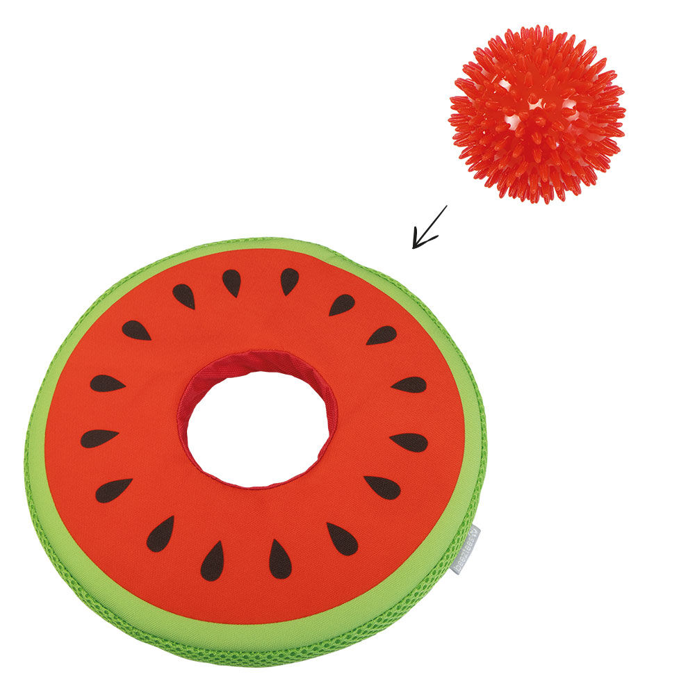 2-in-1 frisbeemeloen met noppenbal Afbeelding 3