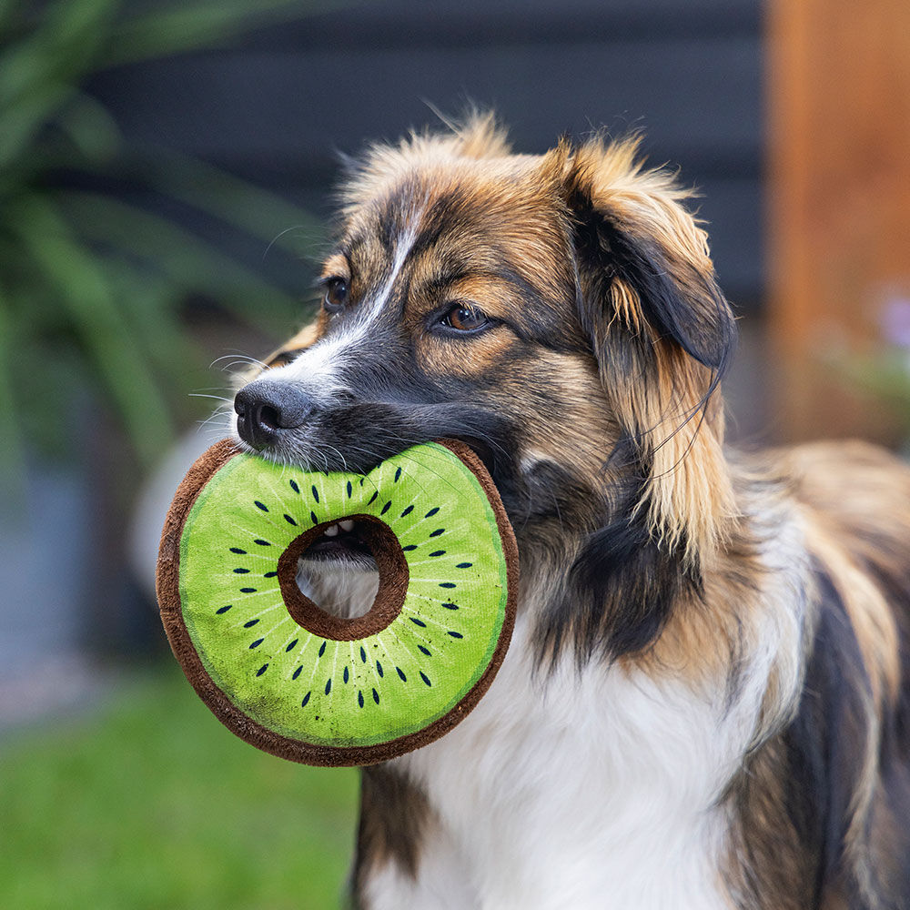 Hondenspeeltje Fruity Donut Afbeelding 2