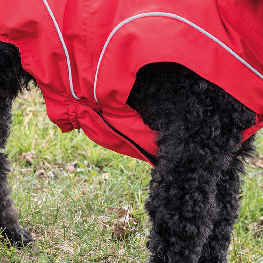 DogBite winterjas, kleur: rood Afbeelding 4