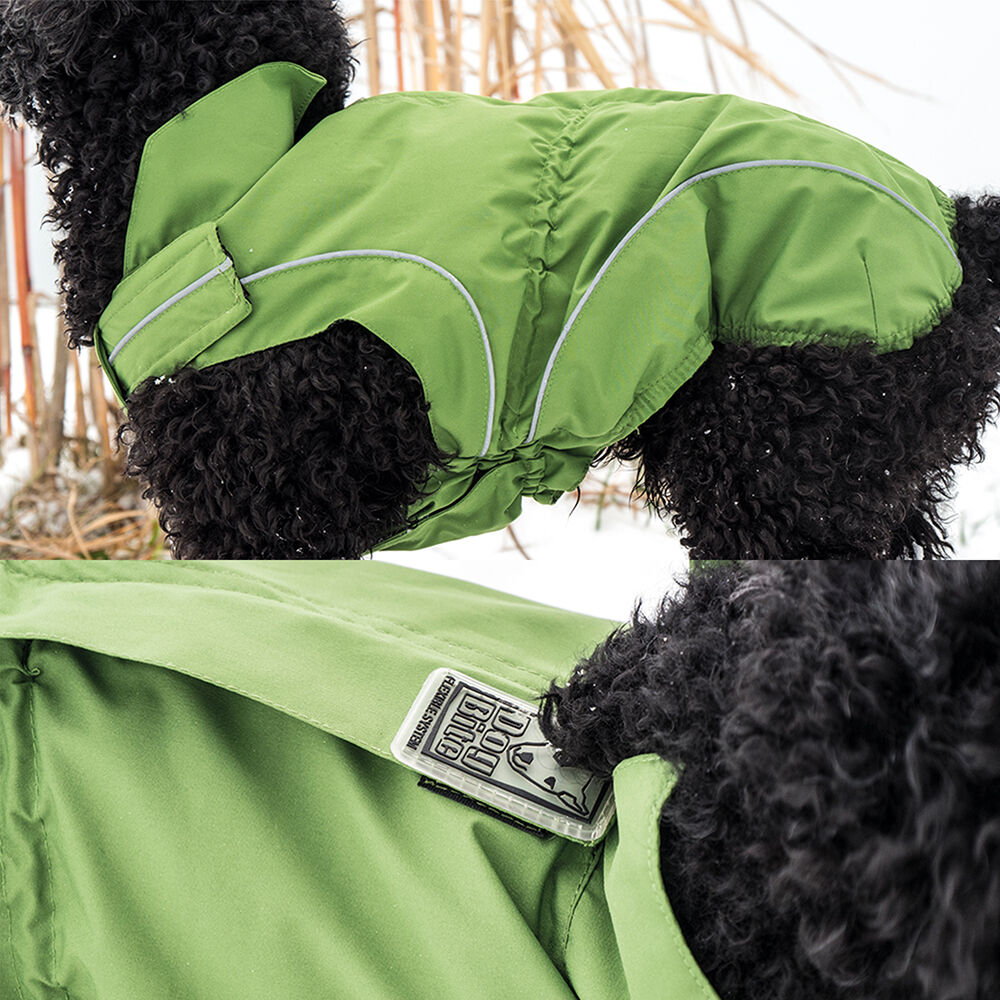 DogBite winterjas, kleur: groen Afbeelding 4