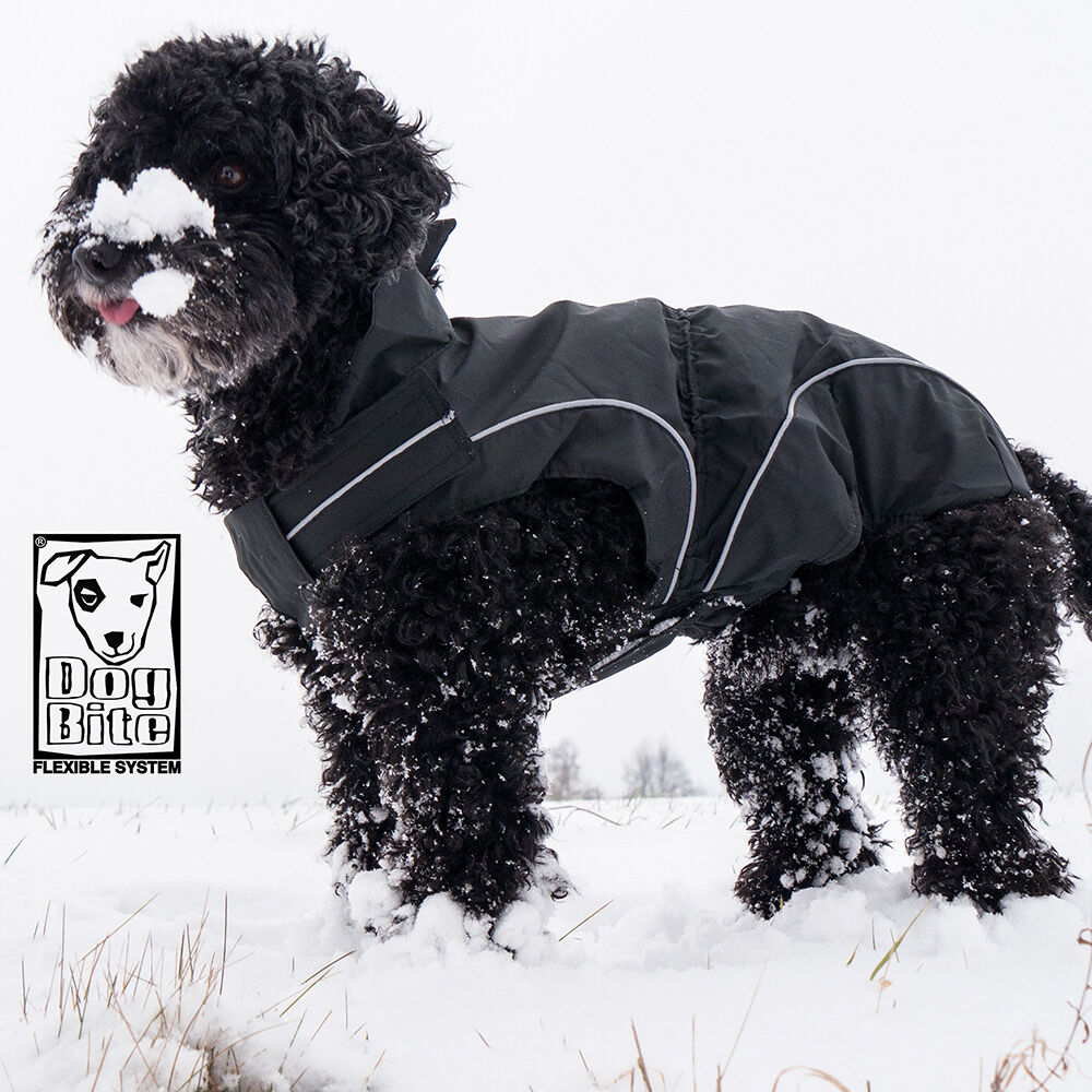 DogBite winterjas, kleur: zwart Afbeelding 2