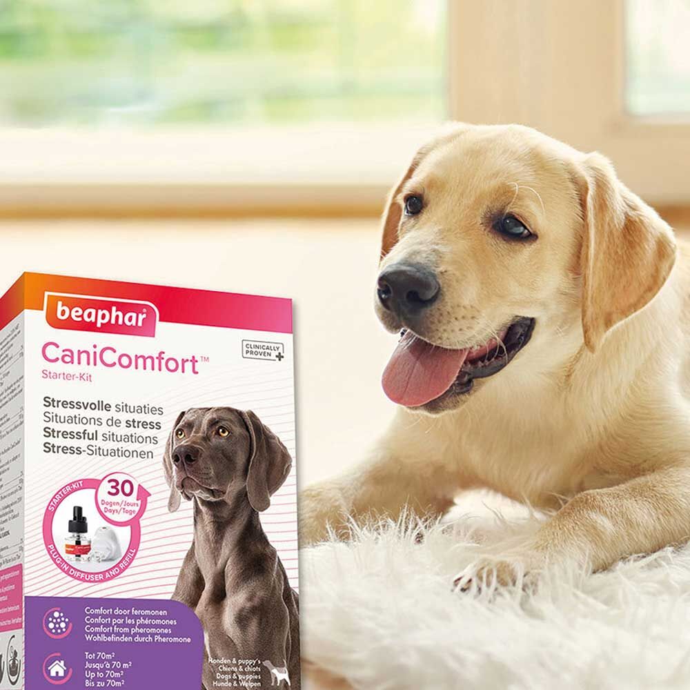 Beaphar CaniComfort™ verdamper hond Afbeelding 4