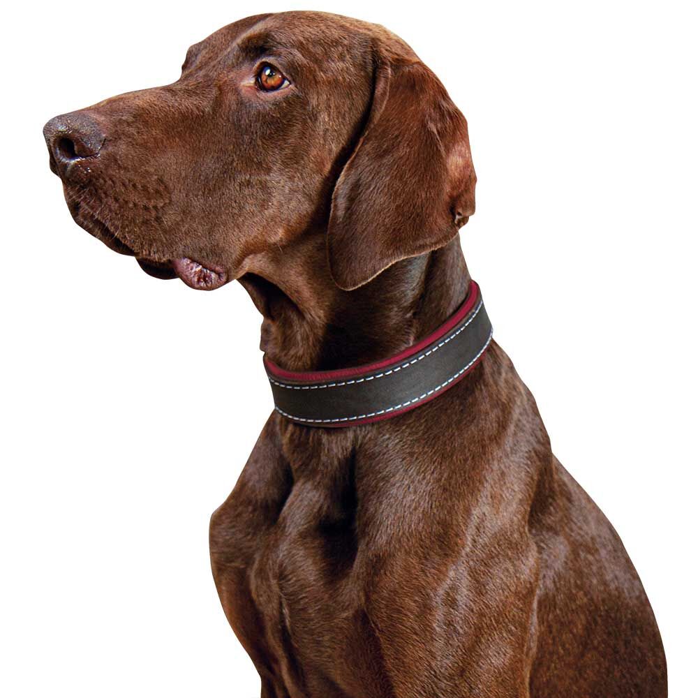 Schecker hondenhalsband Moorfeuer, Kleur: bruin/bessenrood Afbeelding 3