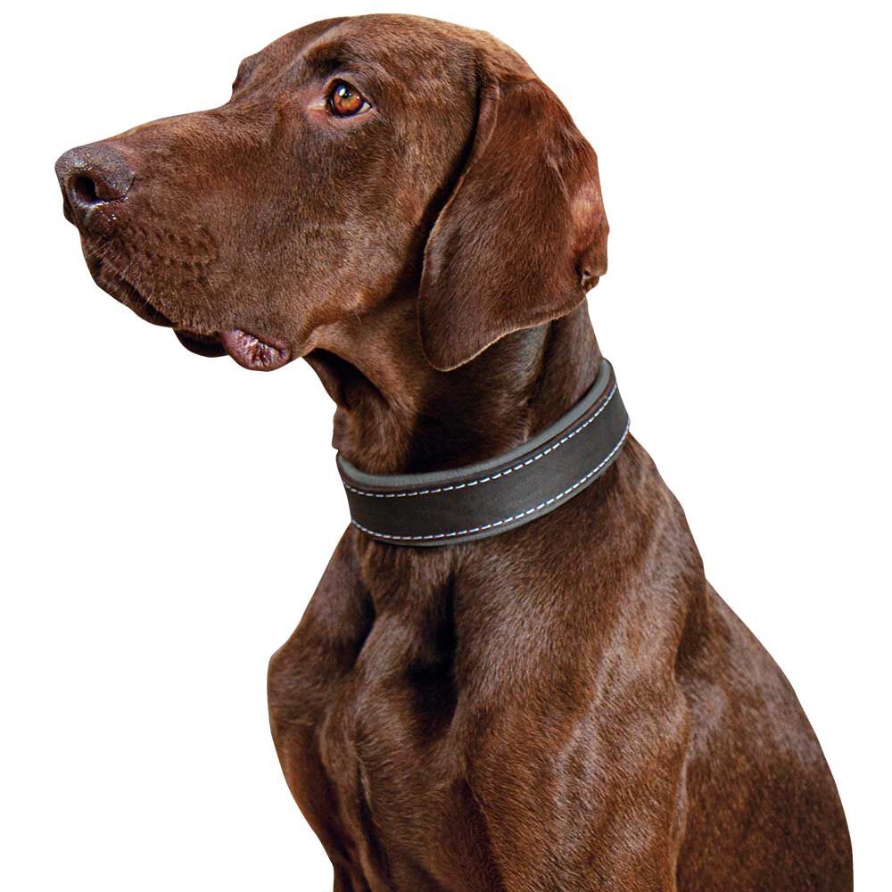 Schecker hondenhalsband Moorfeuer, Kleur: bruin/hemel Afbeelding 3