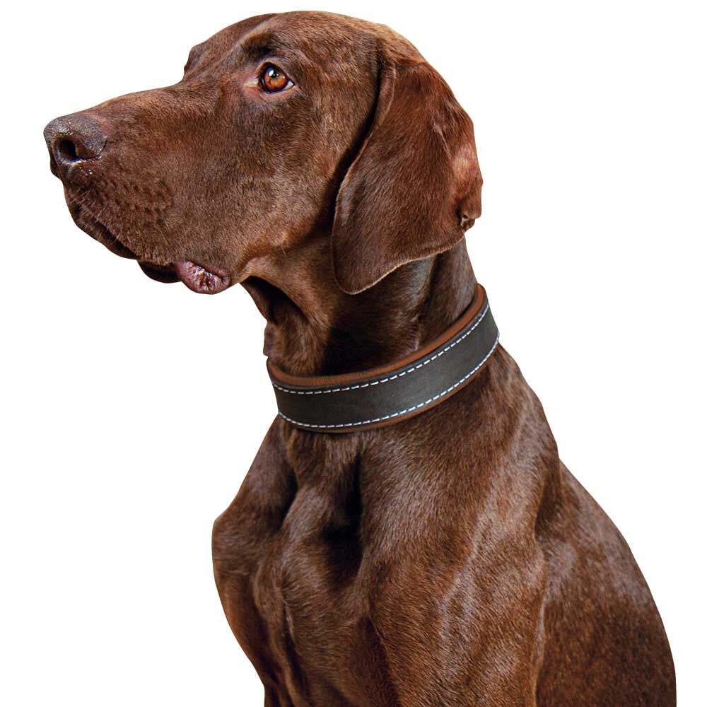 Schecker hondenhalsband Moorfeuer, Kleur: bruin/cognac Afbeelding 3