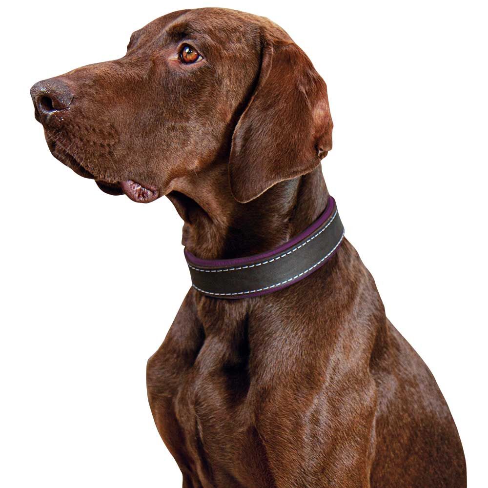 Schecker hondenhalsband Moorfeuer, Kleur: bruin/violet Afbeelding 3