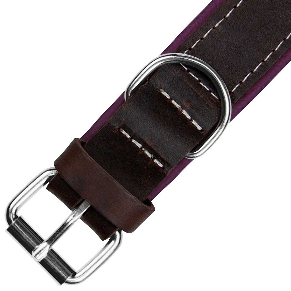 Schecker hondenhalsband Moorfeuer, Kleur: bruin/violet Afbeelding 4