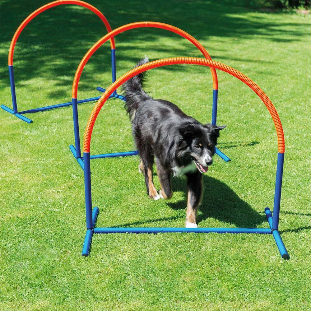 Hoopers honden-agilityboog Afbeelding 2