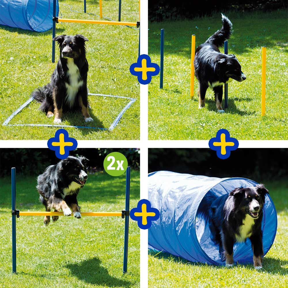 Dog agility-set, groot Afbeelding 2
