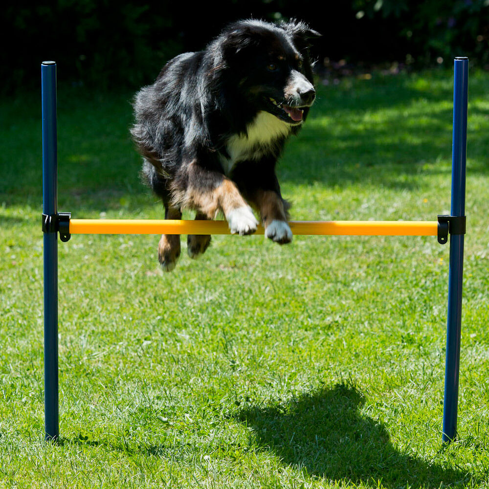 Dog agility start-set Afbeelding 5
