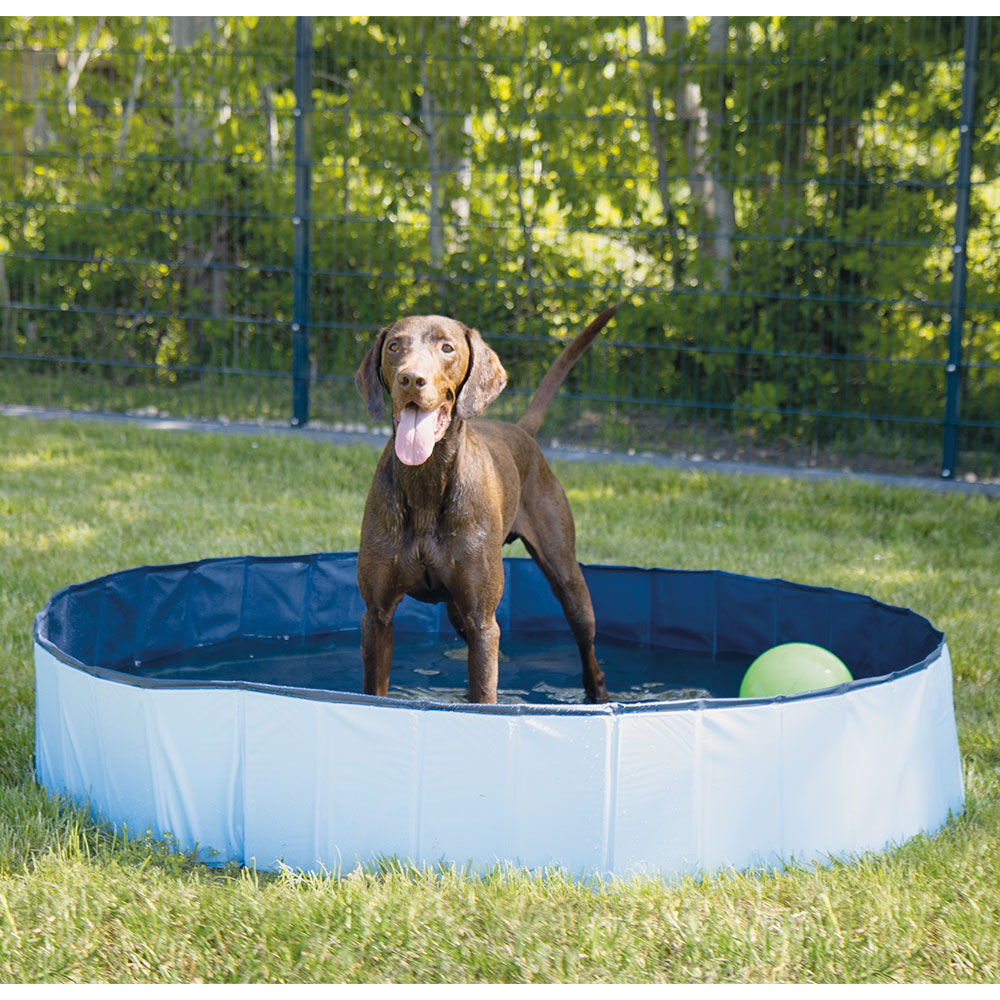 SET: Doggy-Pool, 160 cm + Watersproeier Coolpets Afbeelding 2