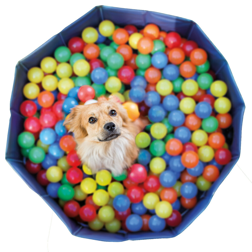 Karlie ballen voor honden-ballenbak