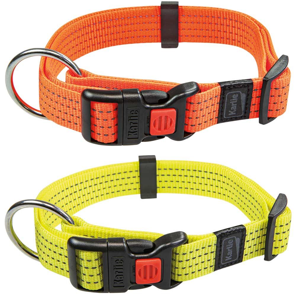 Neon Reflex hondenhalsband nu kopen bij schecker!