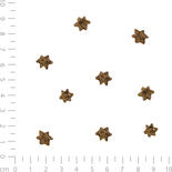 DOGREFORM micro-sterren, zonder granen