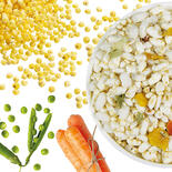 Veggie mix met rijst + sorghum