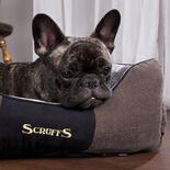 Scruffs® Chester Box bed - Graphite -
