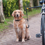 Honden fietshouder Doggy Biker-set