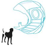 Hondenluiers (teef)