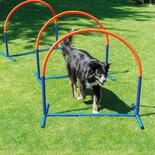 Hoopers honden-agilityboog