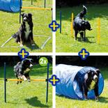 Dog agility-set, groot