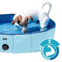 Doggy-Pool
