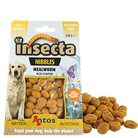 Insecta Nibbles Mealworm (meelworm & pompoen)